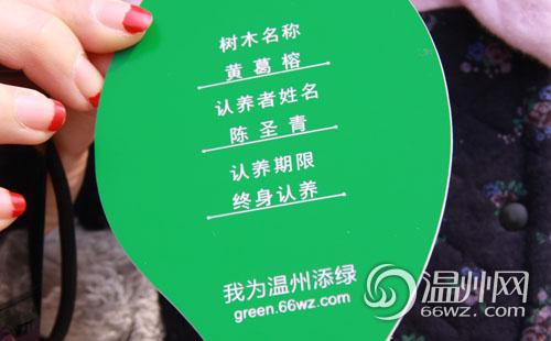 植树节网上认绿 30余个家庭为认养亲子树起名挂牌