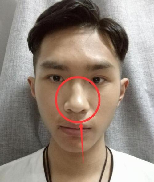 1,鼻头垂肉的男人吝啬 在五官中鼻子代表着财库,鼻型正,鼻头有肉,鼻翼