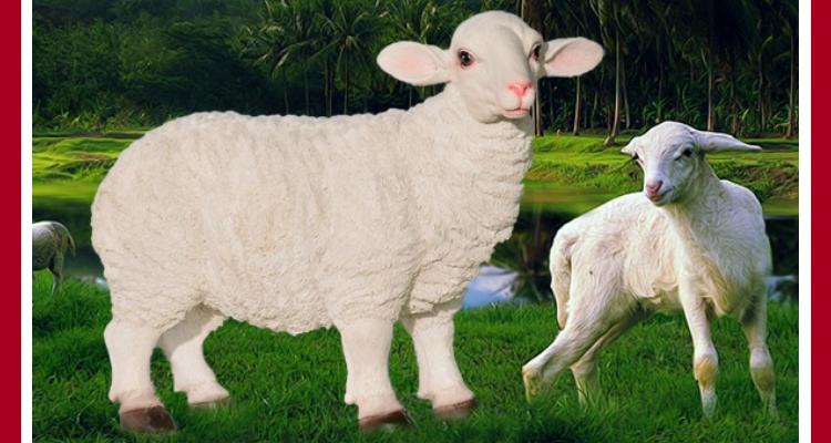 外贸树脂绵羊工艺品 花园动物创意摆件黑白羊两色可选批发